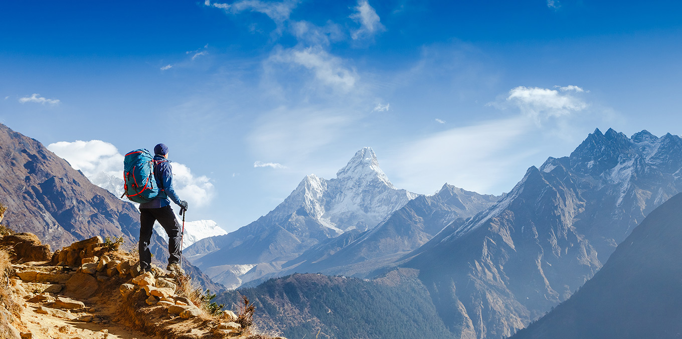 seguro de vida y ahorro